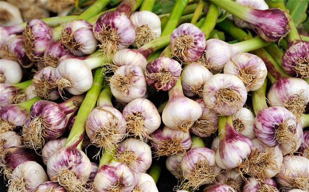 The garlic is worth an estimated £8 million in total Photo: ALAMY