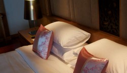 From Rector to Developer