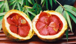Gac fruit