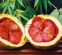Gac fruit