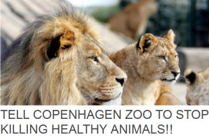 copenhagen_zoo