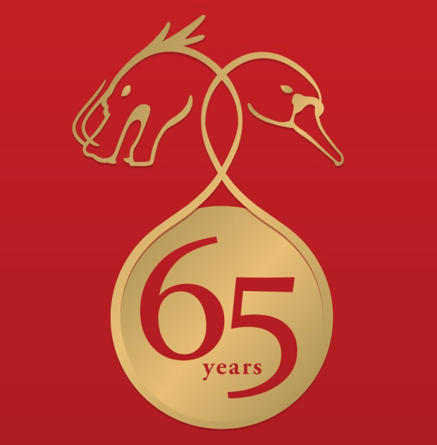 dk-china-65-logo