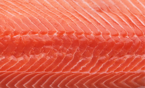 Salmon-meat