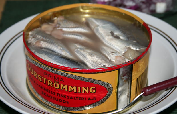 Surstromming-herring1