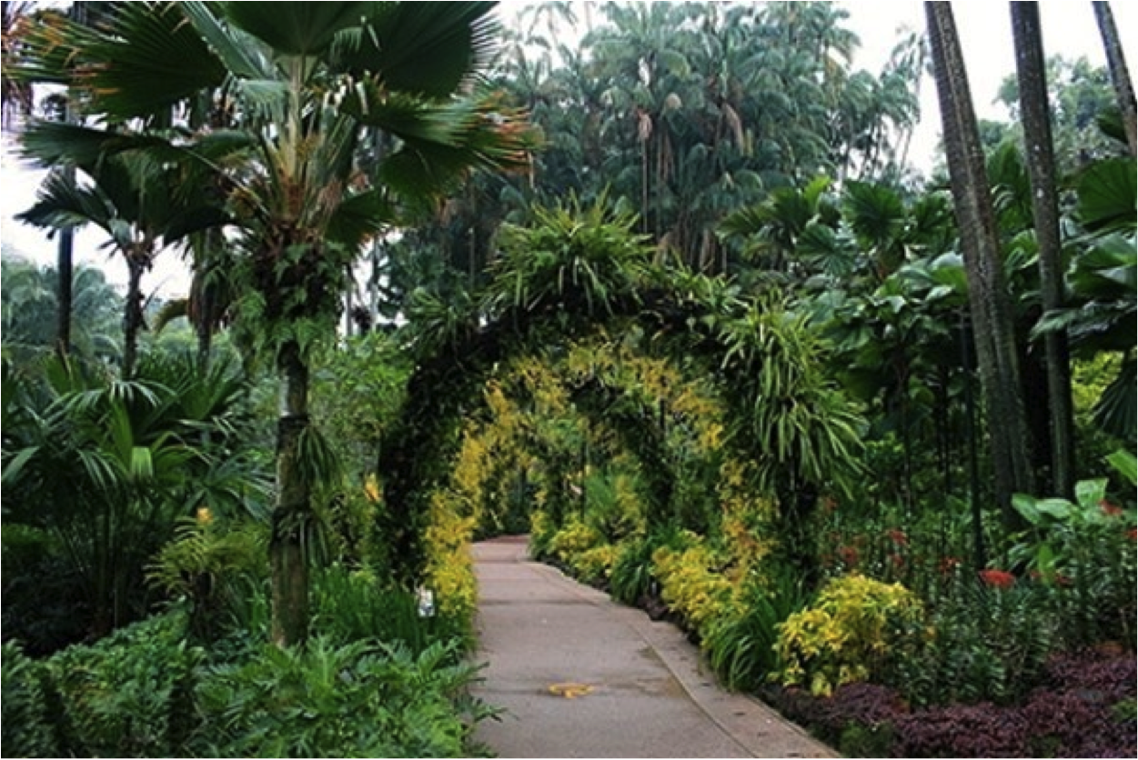 Botanic Gardens in Singapore. Source: sjomannskirken.no