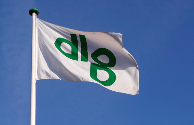DLG-flag