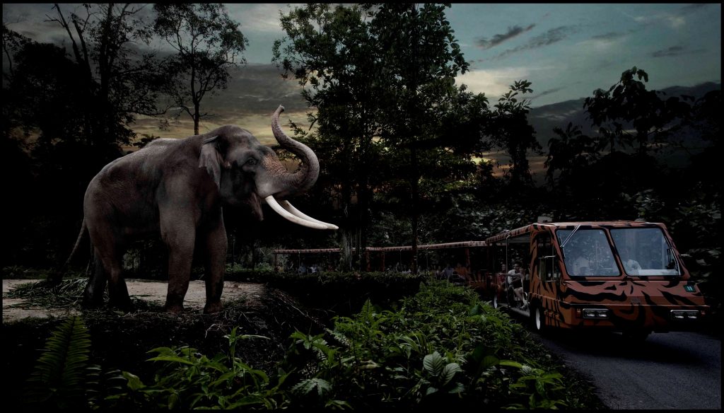 Night Safari- Chawang the elephant and tram