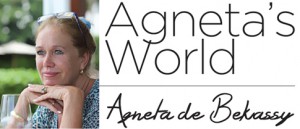 logo Agneta's World