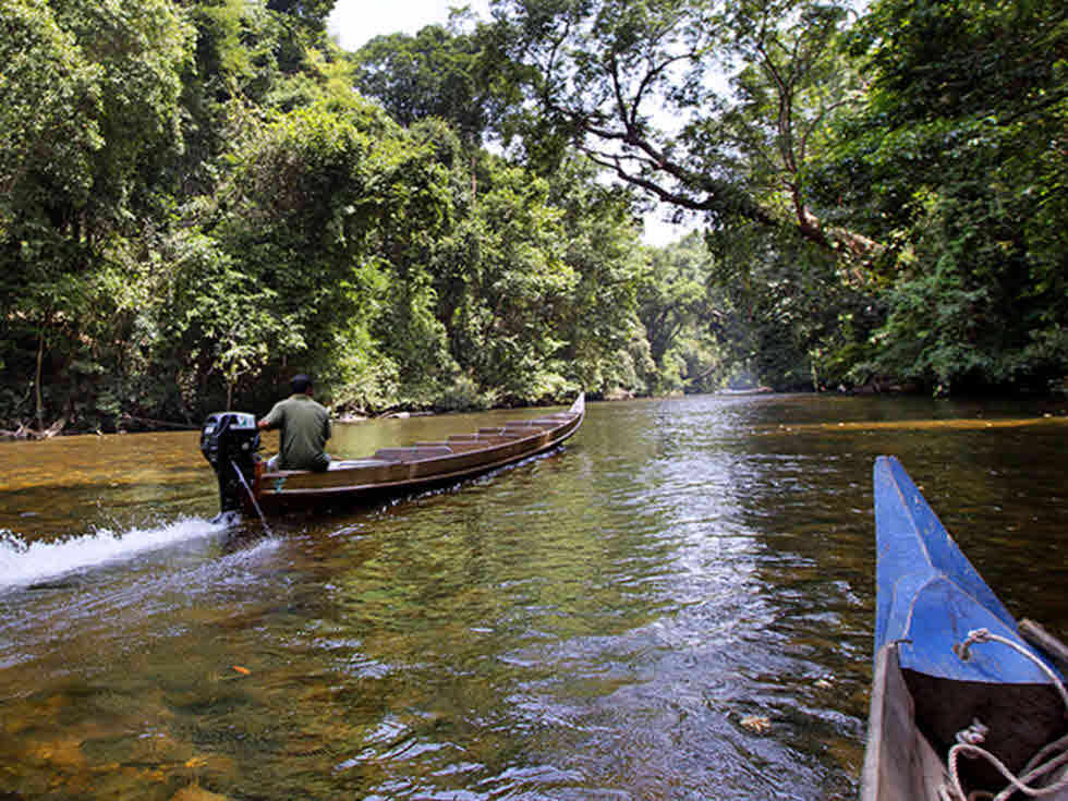 Malaysia-jungle-river