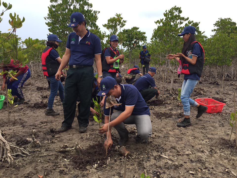 Denmark supported training on planting mangrove
