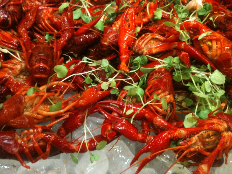 New Crayfish Party in Singapore