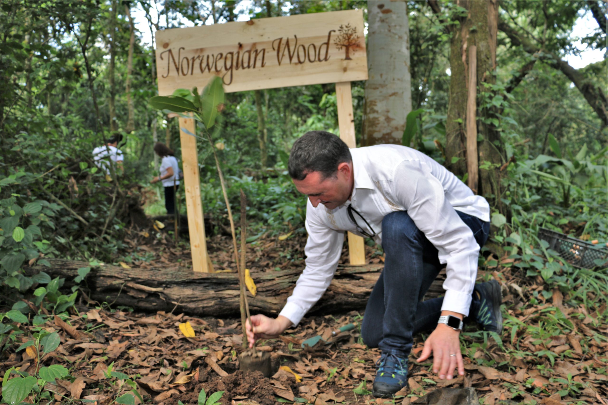 Norwegian Embassy plants trees to offset own carbon-footprint