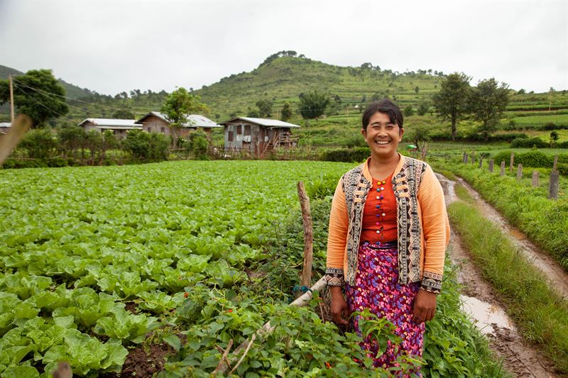 Finnfund invests in Proximity Finance to help reach more smallholder farmers in Myanmar