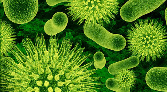 Research: Nordic travelers to Asia catch super-bacteria faster than we knew