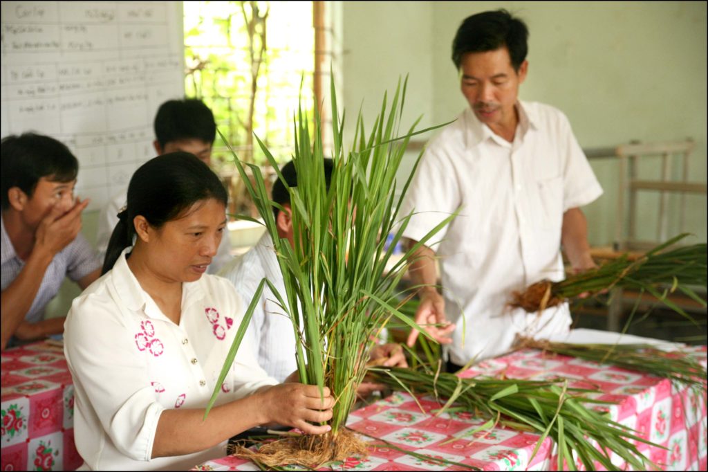 ADDA teaches local farmers to teach their fellow rural farmers 