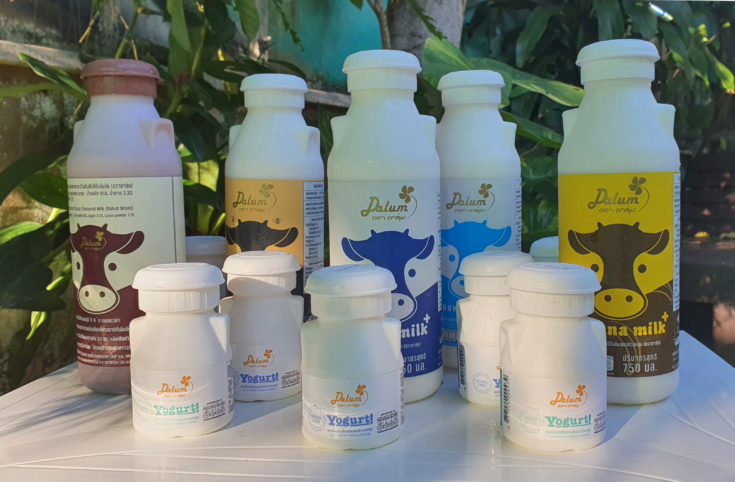 Dalum Milk Brand products