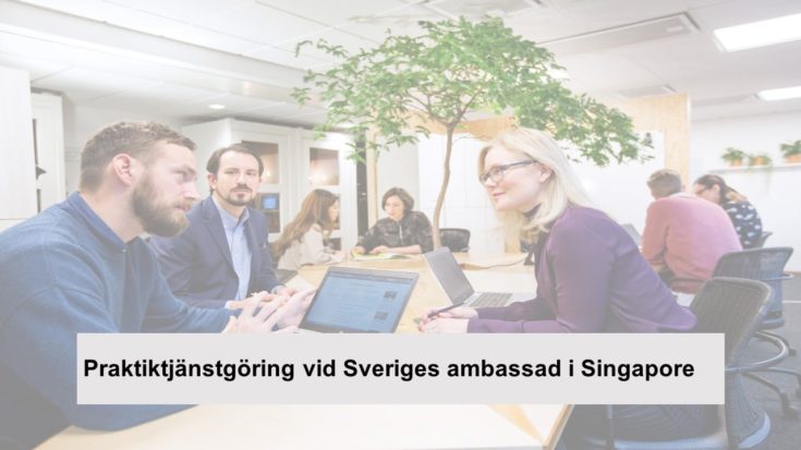 Embassy Of Sweden In Singapore Is Looking For Two Interns For The Autumn Semester Of 2022 3782