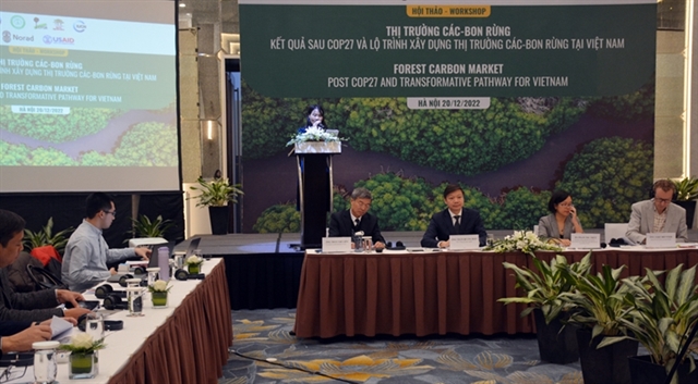 Vietnam and Norway discuss roadmap to build forest carbon market