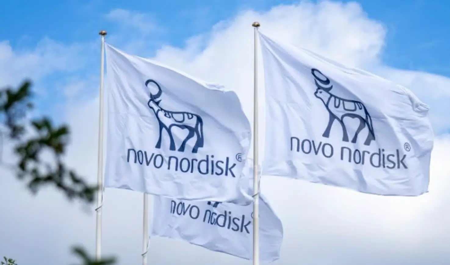 Danish Novo Nordisk surpasses LVMH as Europe's most valuable