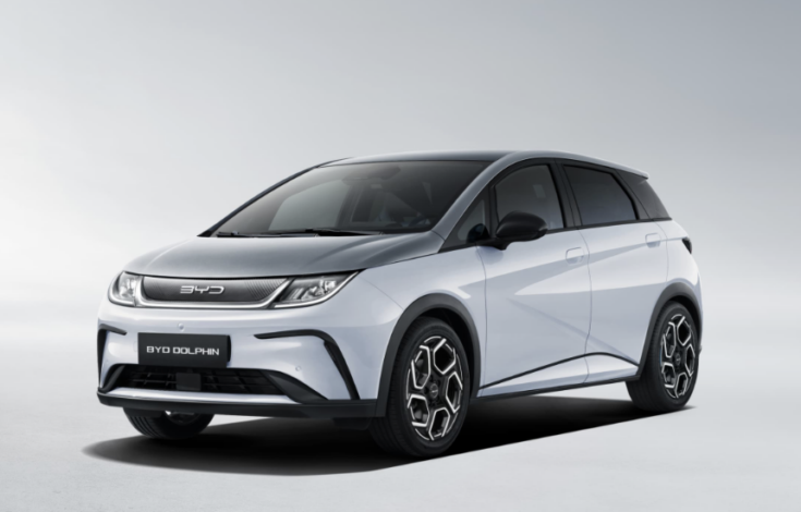 Danish municipalities purchase Chinese EV's despite warnings