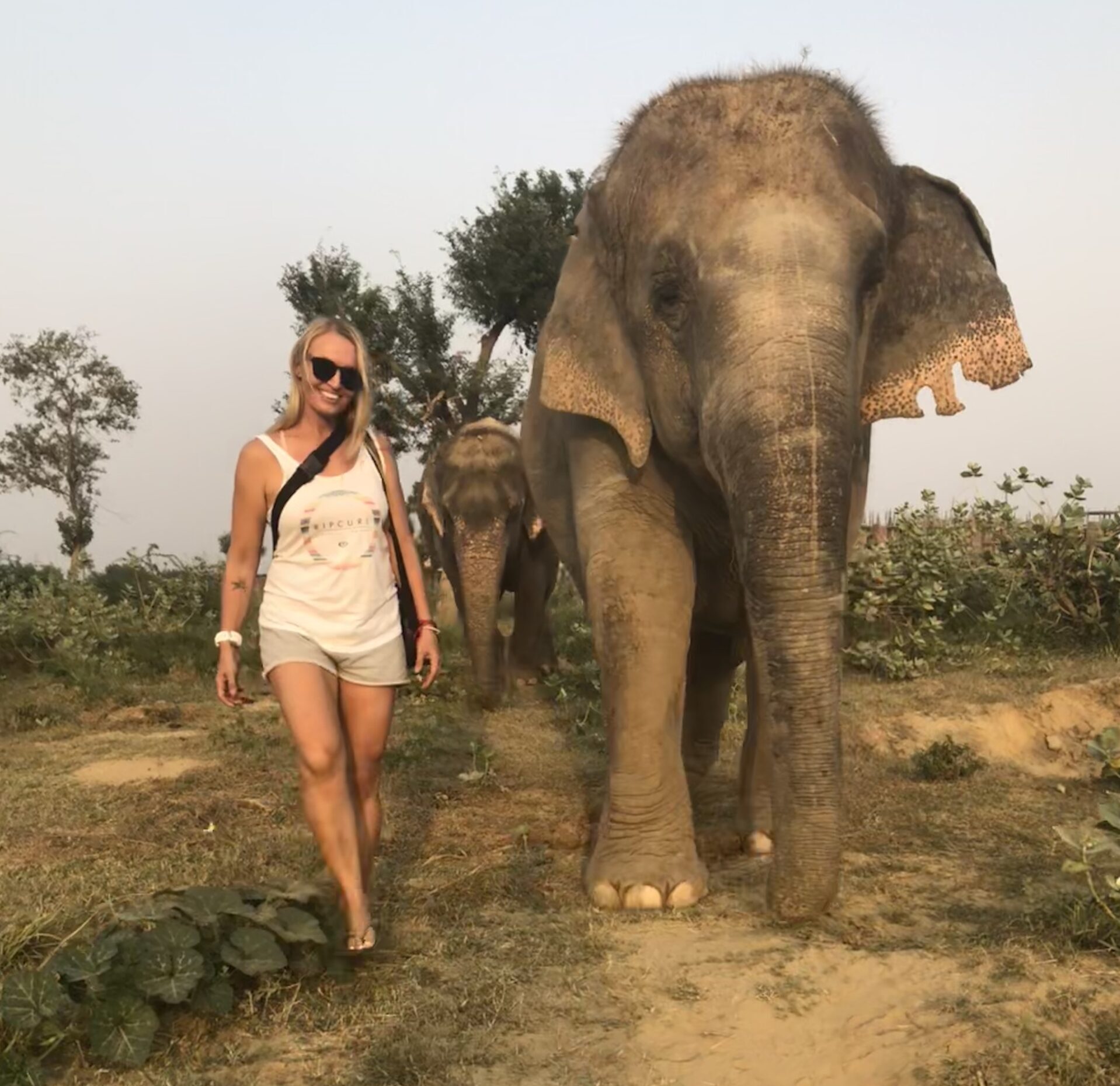 Animal rights not elephant rides: Tiina’s guide to travel