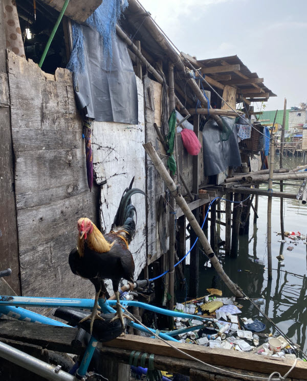 Tondo Manila slum